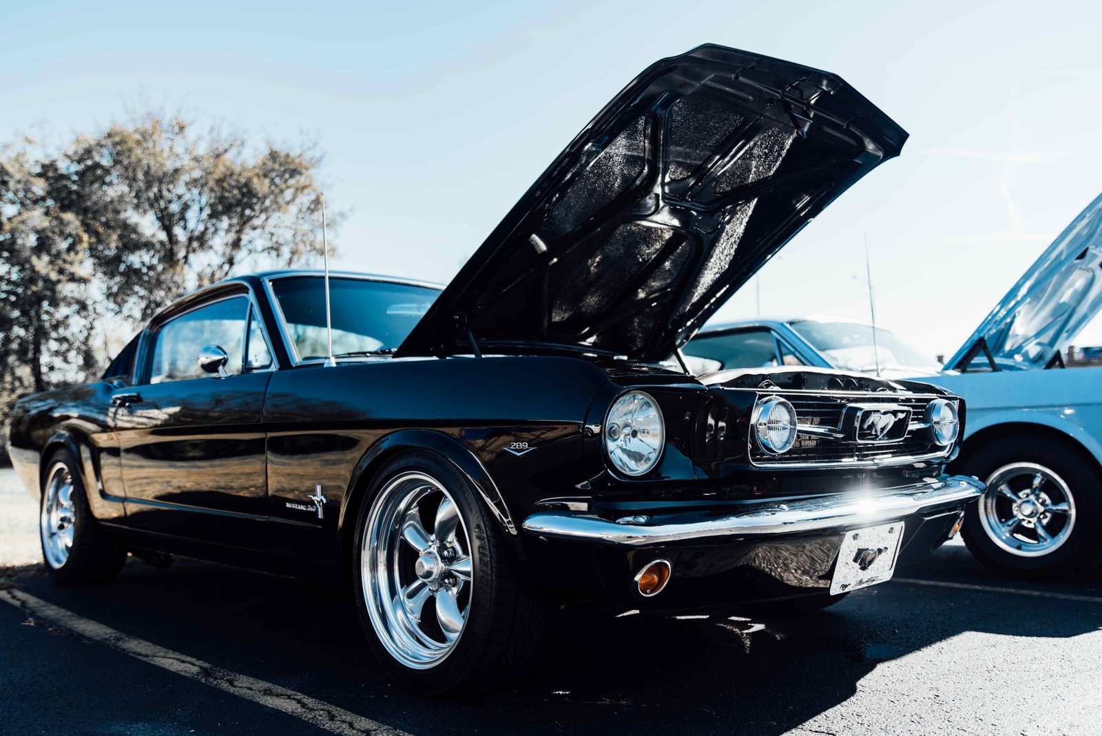 fox mustang body