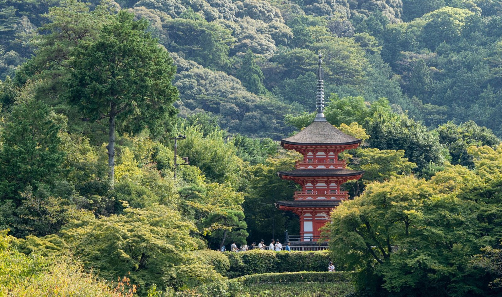 shipn utsunomiya