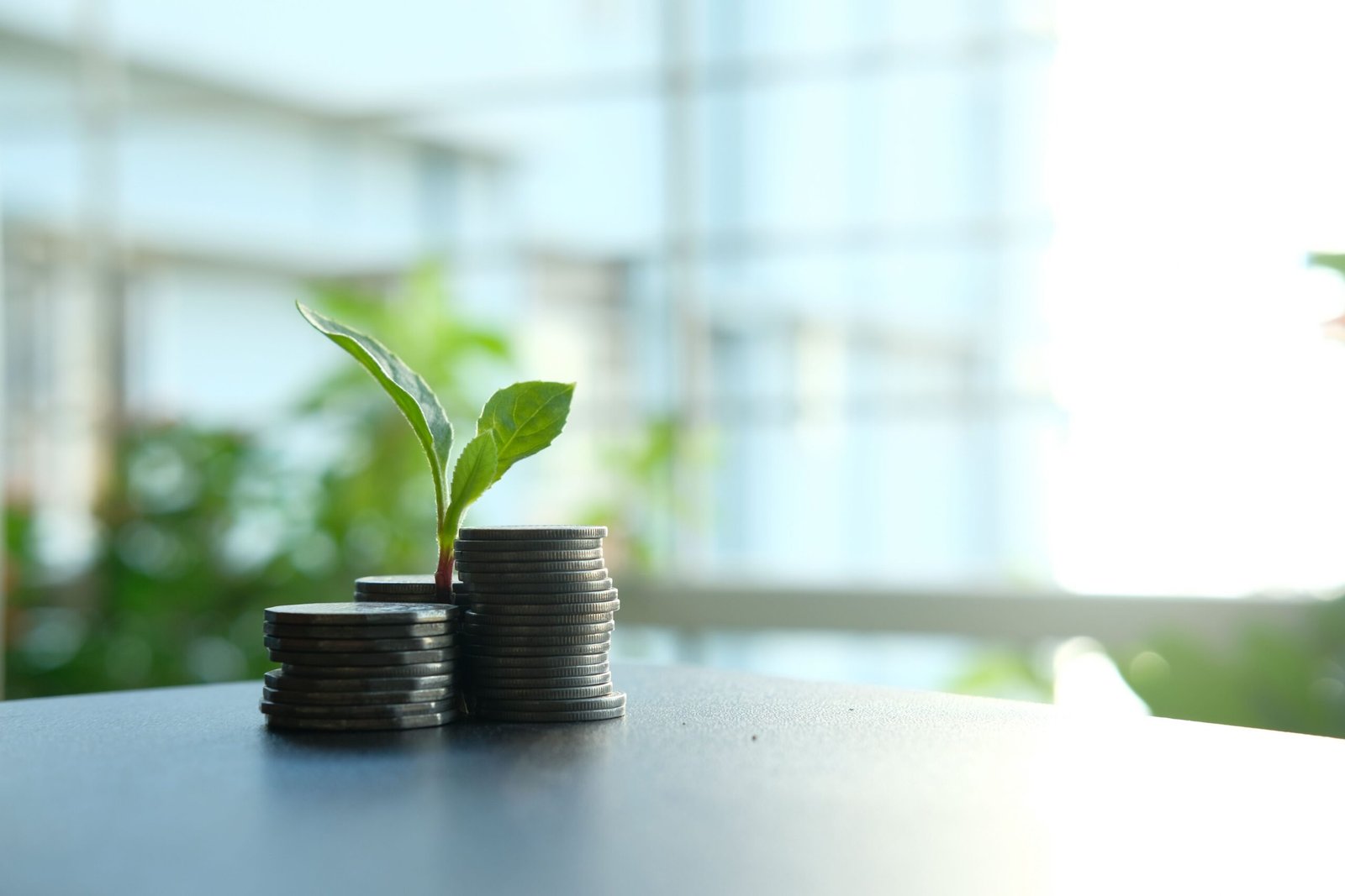 low investment business ideas